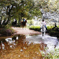 Riding - Turnerspuddle ford
