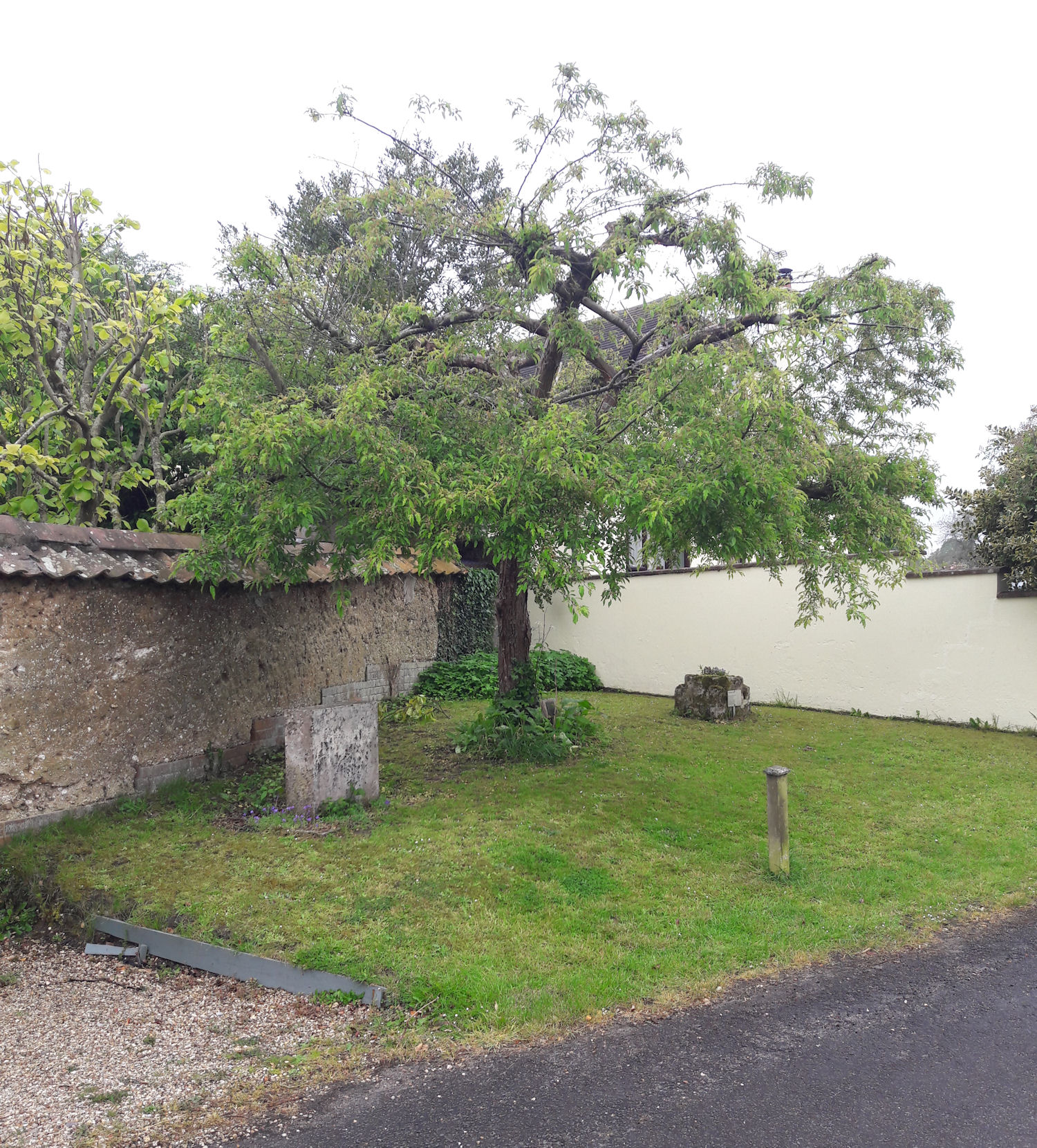 Millenium stone location